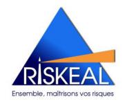 Logo Riskeal
